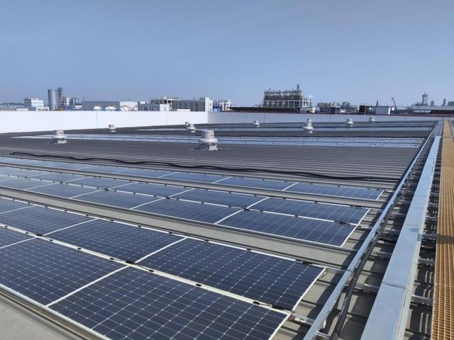 新能源項目迎風起舞 電纜為媒，廠房變身綠色動力場